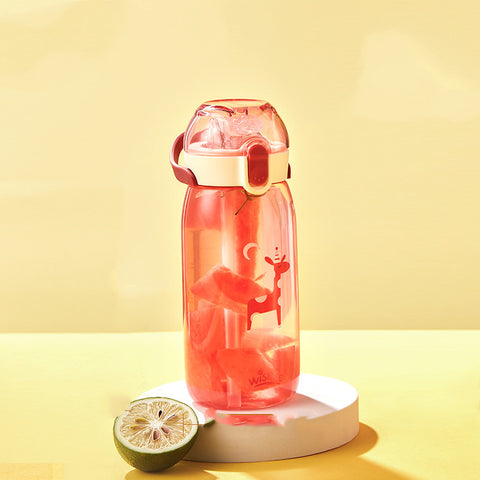 Transparent Lock Sippy Cup